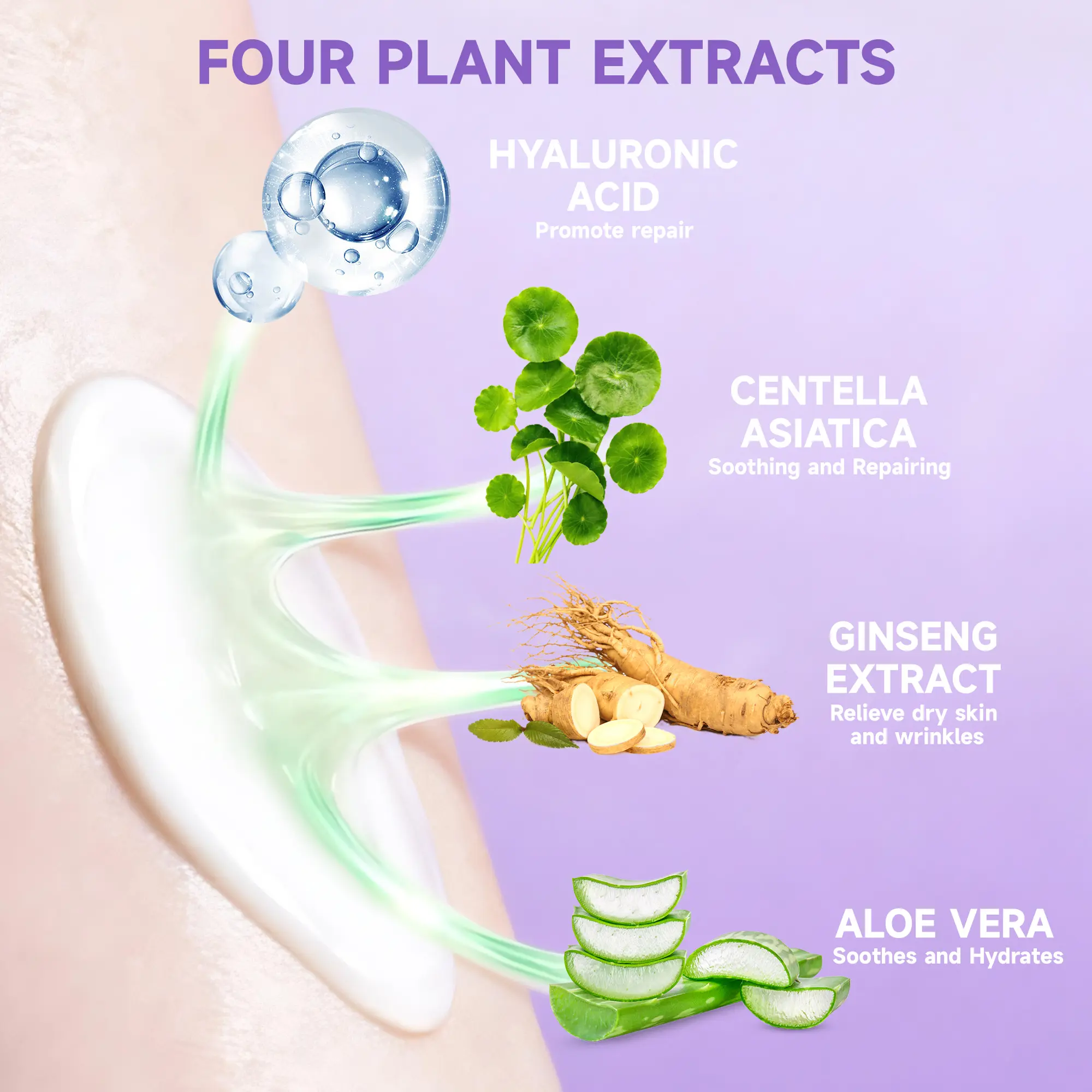 Hyaluronic acid aloe vera centella and ginseng ingredients