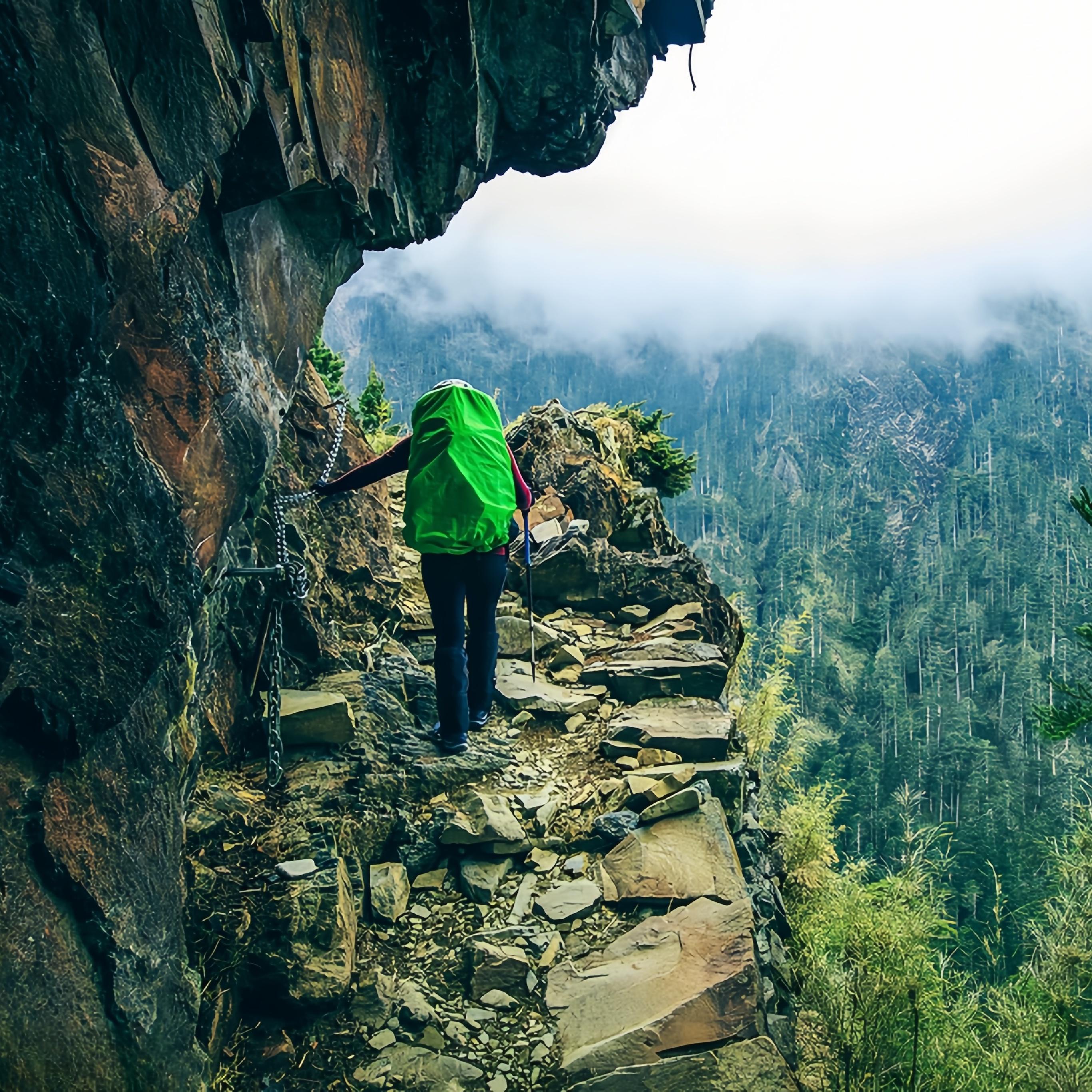 Multifunctional Hiking Pole, Heavy Duty & Collapsible, Portable Walking Stick