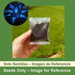 800 Pcs Flower Seeds Lush Foliage & Elegant Blooms Easy to Grow Ideal for Shade Gardens Landscaping All Seasons Perennial Beauty - Flowering Plants
