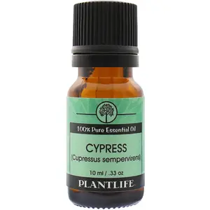 Cypress Essential Oil Cypress Essential Oil