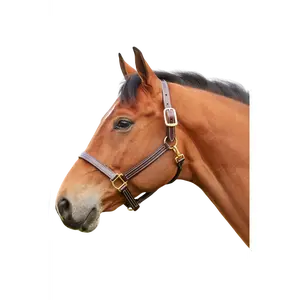 Walsh British Halter