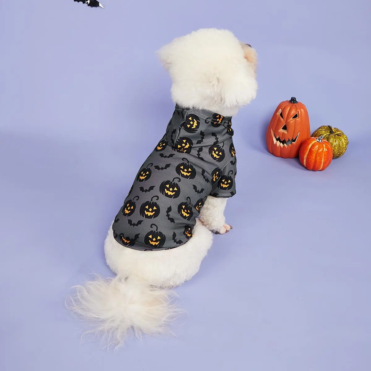 Pet Hoodie, Pumpkin & Bat Pattern Pet Clothes, Pet Clothing for Small Medium Large Dogs & Cats, Halloween