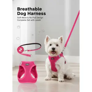 No Pull Dog Harness & Leash Set - Breathable Soft Mesh for Dogs