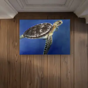 Begin Home Decor CODM1724013XD7 17 x 24 in. Turtle in the Ocean Door Mat - Brown Marine Indoor & Outdoor