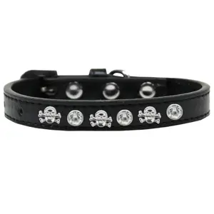 Skull Studded Dog Collar