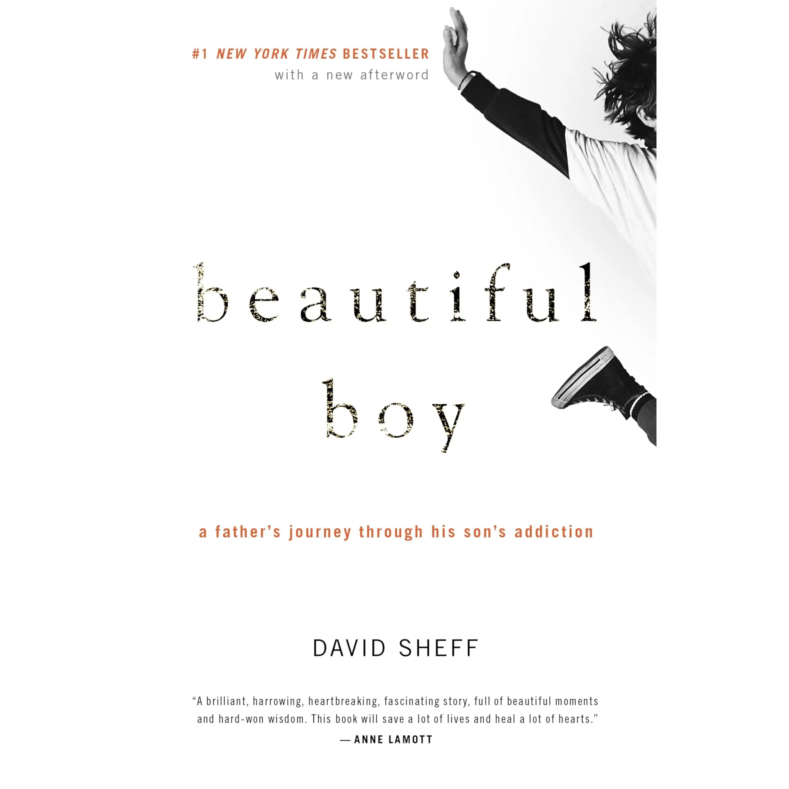 Beautiful Boy: A Father's Journey Through His Son's Addiction -- David Sheff - Paperback