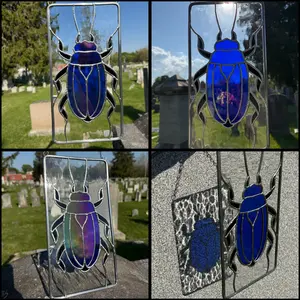 Beetle Study No. 1