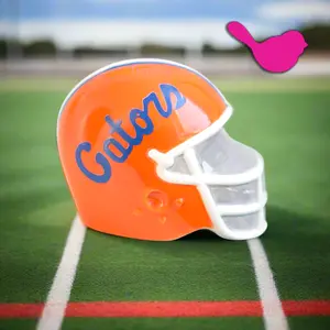 Nora Fleming Mini University of Florida Helmet