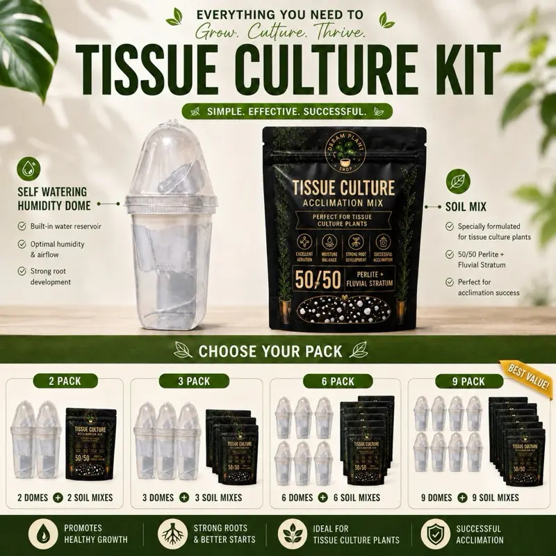 Tissue Culture Growing Kit, Special Soil Mix+ Self Watering Humidity Dome