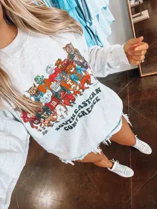 SEC Sweatshirt