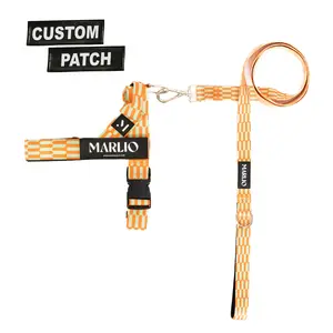 Personalized Funky Wave Dog Harness and Leash Bundle with FREE Name Patches