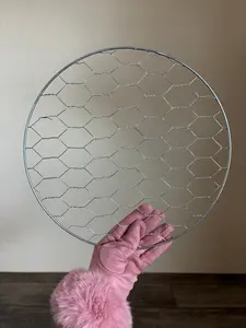 12’ Circle wire ring