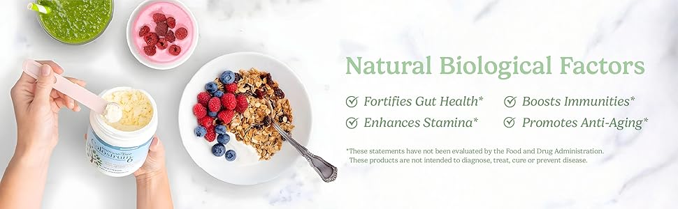 Lepi Trim 6 Nutritional Powder Drink Mix Vanilla | Chocolate Flavor 856g