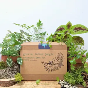 "Grow an Indoor Jungle" Houseplant Seed Kit