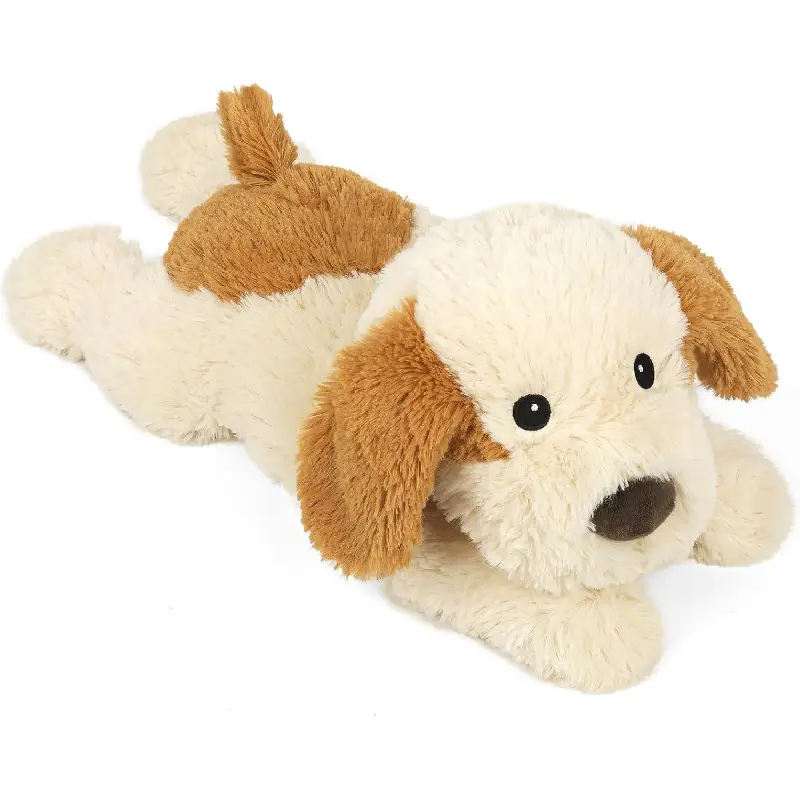 White and Brown Puppy