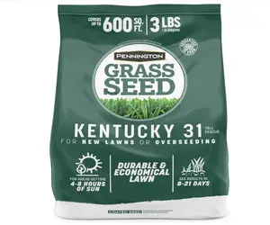 Pennington 100% Kentucky 31 Tall Fescue Penkoted Grass Seed 3 lb