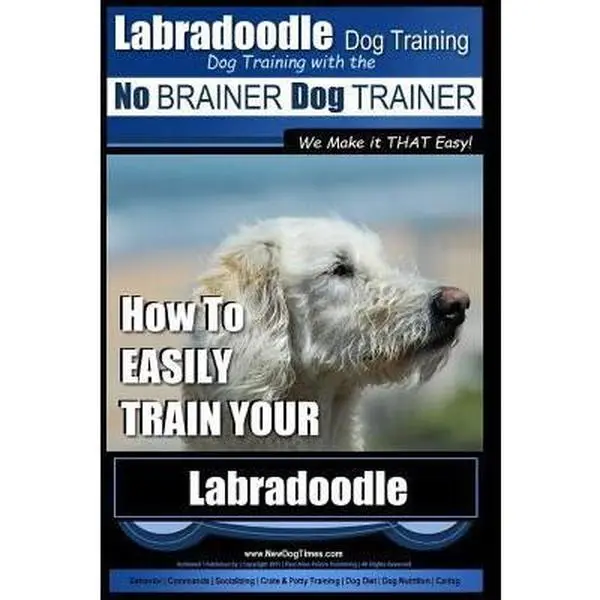 USED-Labradoodle Training: Dog Training With the No BRAINER Dog TRAINER We Make it That Easy How to EASILY Train Your Labradoodle by Pearce, Paul Allen (Paperback)