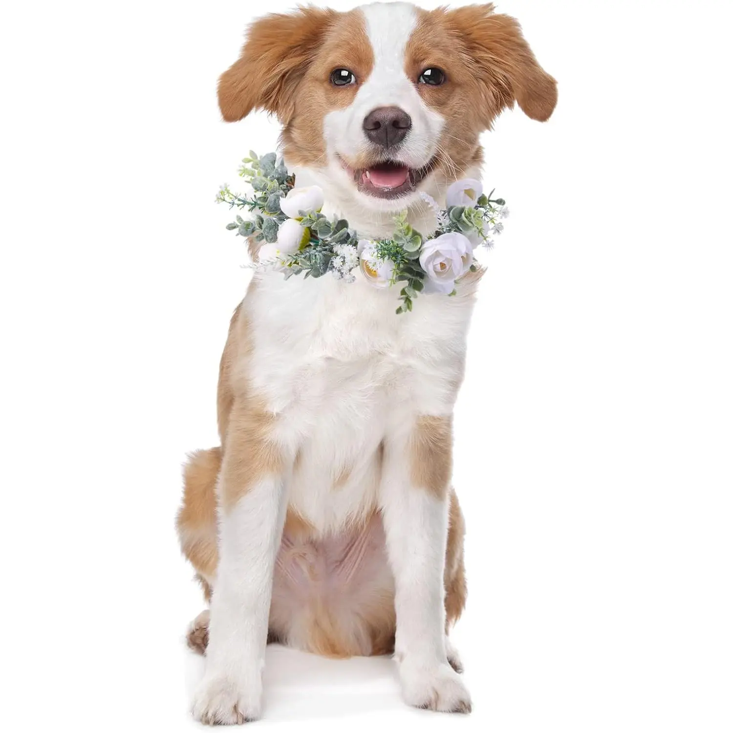 Dog Wedding Flower Collar Dog Wedding Outfit Floral Collars Attire Flowers Wreath Pet Photo Prop Wedding Accessories for Puppy Cats Female Male(Small)
