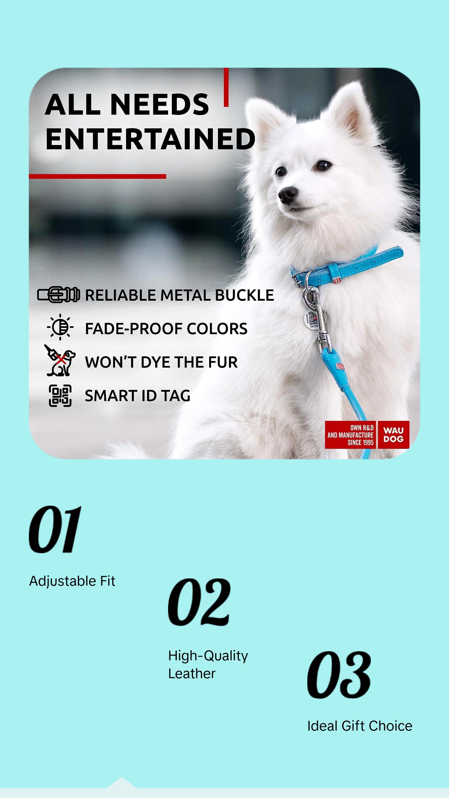 Blue Ultra Soft Rolled Leather Dog Collar for XSmall Dogs