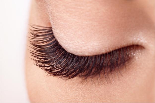 KISS Lash Couture Matte Black Multipack - Matte Cheviot