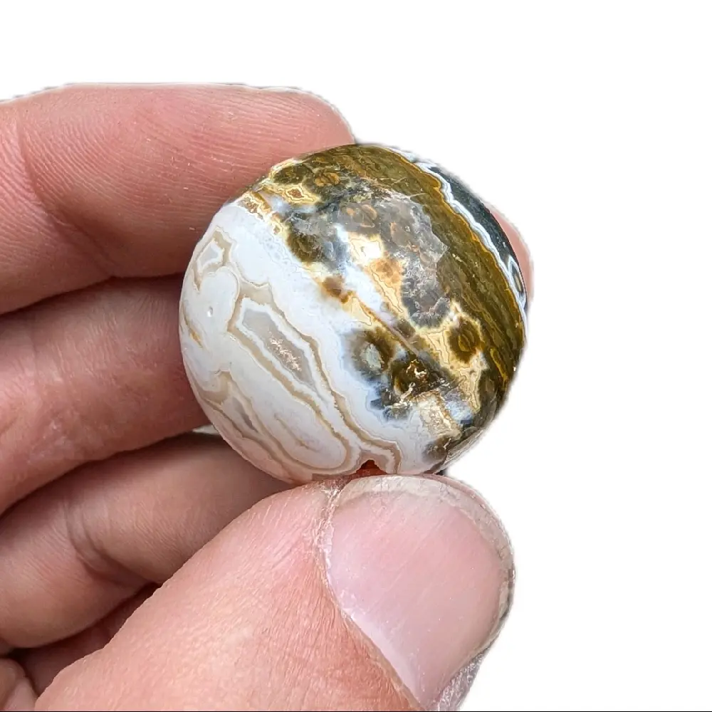 Ocean Jasper "nip"
