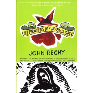 USED-The Miraculous Day of Amalia Gómez by Rechy, John (Paperback)