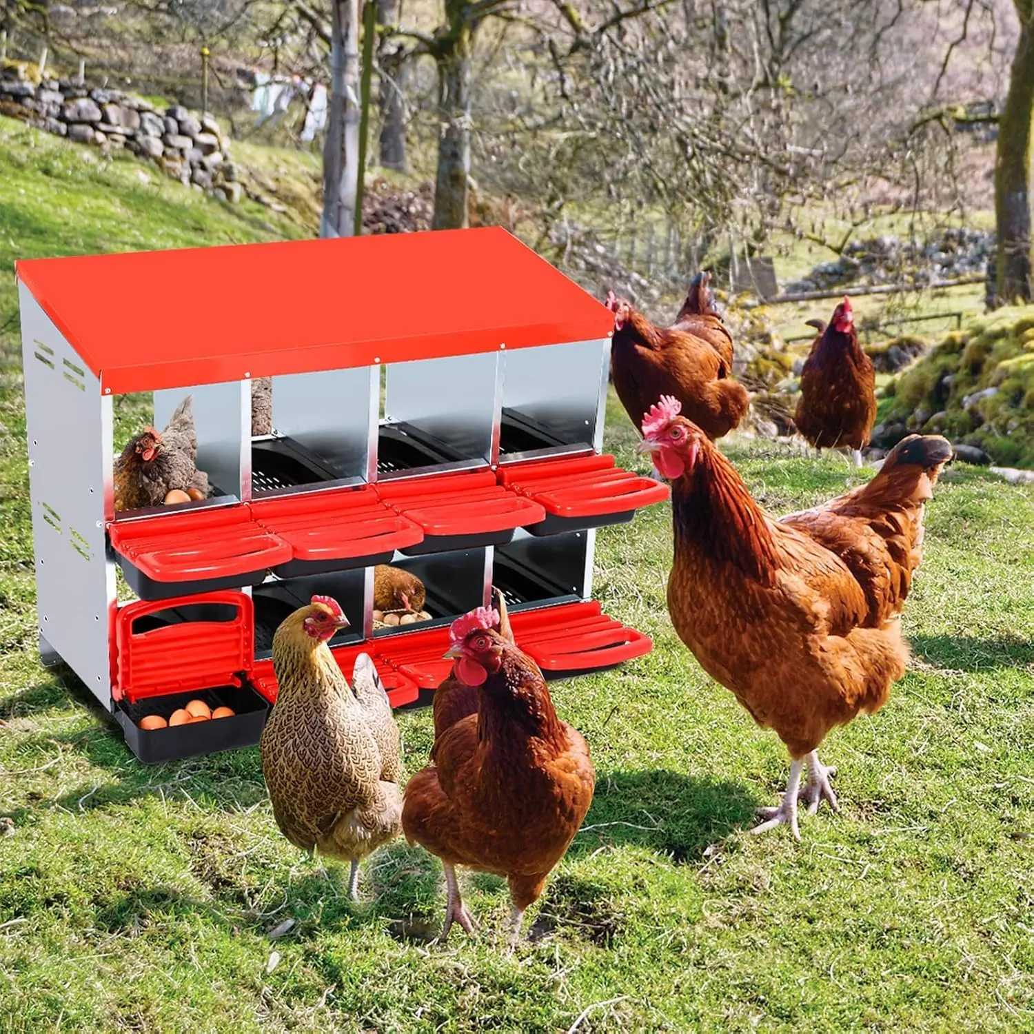 Galvanized Steel Chicken Nesting Box for Chicken Coop Egg Laying - Cozy, Convenient, Sanitary, Ventilated Design with Roll-Up Lid Shelter System and Easy-Cleaning Inclined Tray