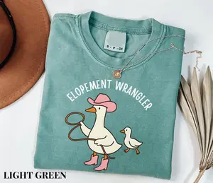 ABA T-Shirt, RBT Shirt, Sped Teacher Shirt, Aba Therapy Shirt, Neurodiversity Shirt, BCBA Gift, Elopement Wrangler Goose Shirt