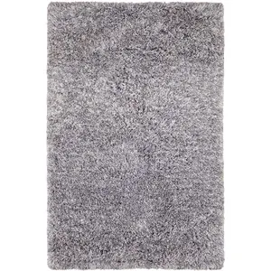 Stoneleigh 3998830F Grey Silver Rug