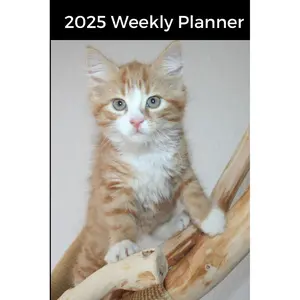 2025 Weekly Planner: Maine Coon Kitten Cover, Organizer Diary with Goal Setting and Gratitude Sections, Checklists, Trackers & more Paperback – September 19, 2024