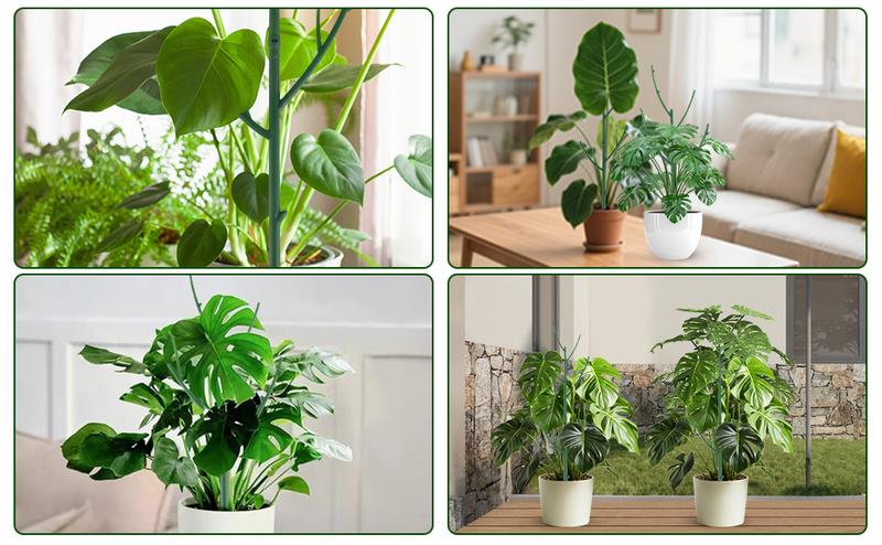 Stackable Monstera Plant Support: Garden Stakes for Climbing Plants Stem Support – Durable Plant Accessories for Indoor Outdoor Potted Plants, Pothos, Vine, Flower