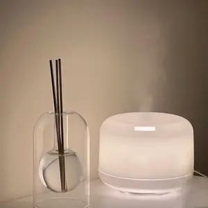 Coastal Elegance Aromatherapy Diffuser with Double Glass Vase & Natural Rattan Sticks for Home Fragrance Decor Eco-Friendly Sustainable Living Room Bedroom Spa Setting Accessory Nature Scent Scented Perfume