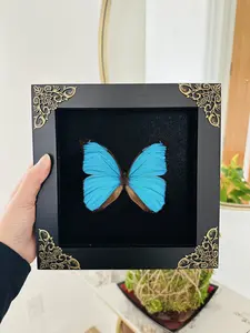 Framed Morpho Butterfly Real Preserved Butterfly