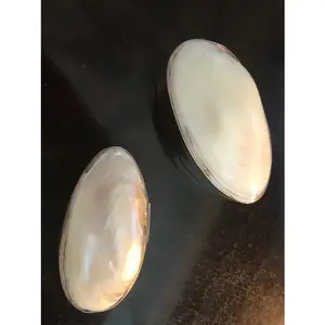 Pair Mother of Pearl Oval Abalone Trinket Box