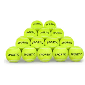 36PC High Bounce Tennis Balls with Mesh Bag Training Set for Beginners Dog Owners Pro Practice Extra Durable Outdoor Indoor36PC High Bounce Tennis Balls with Mesh Bag Training Set for Beginners Dog Owners Pro Practice Extra Durable Outdoor Indoor