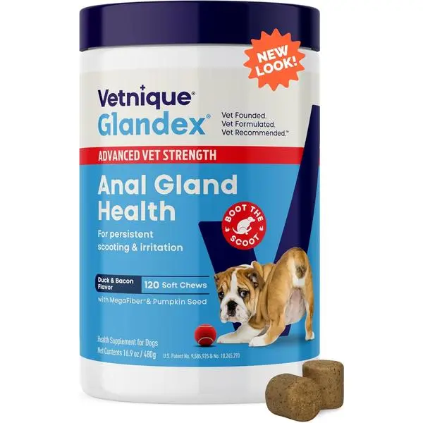 Glandex Anal Gland Soft Chew Treats with Pumpkin for Dogs, Digestive Enzymes, Probiotics & Fiber Supplement for Dogs, Boot The Scoot, Advanced Strength Duck Bacon Vegetarian Chews, 120 Ct, Vet Recommended Anal Gland Support