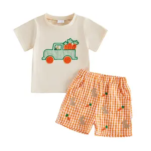 Toddler Baby Boys Easter Two Piece Outfit Cute Bunny Carrot Truck Short Sleeve T Shirt Tops Gingham Shorts Country Farm Sumemr Clothes