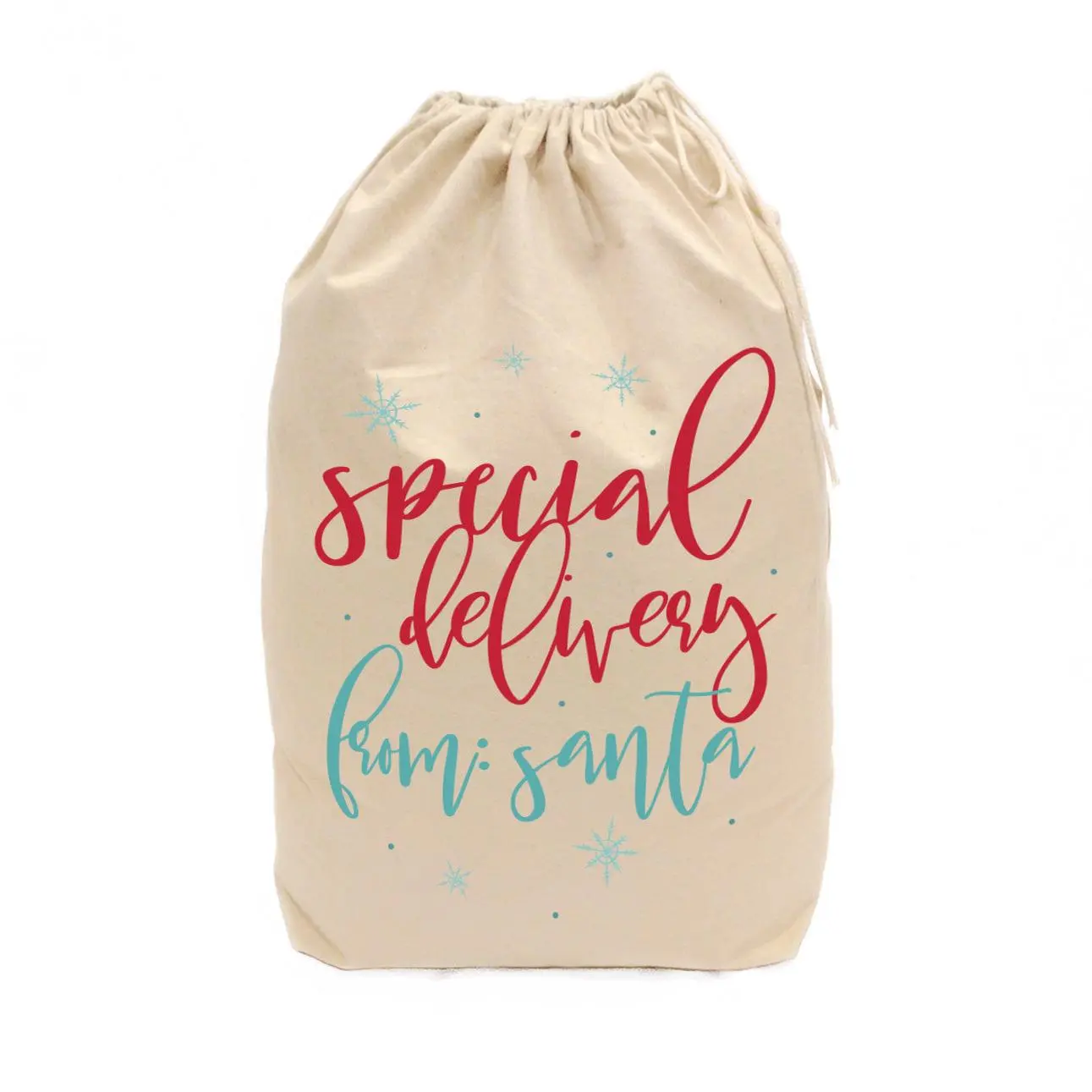 Special Delivery From Santa Christmas Santa Sack