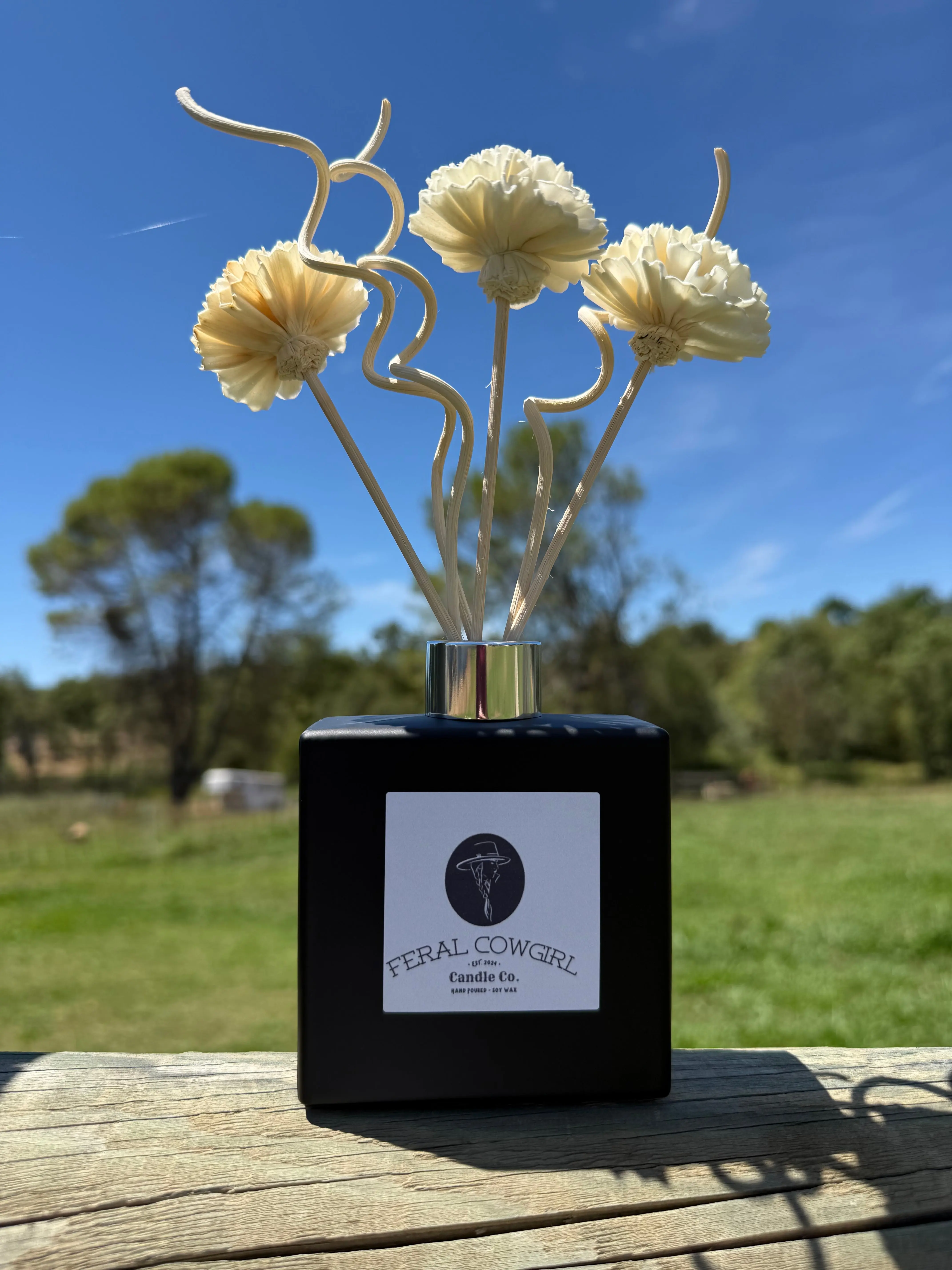 Matte Black Reed Diffuser