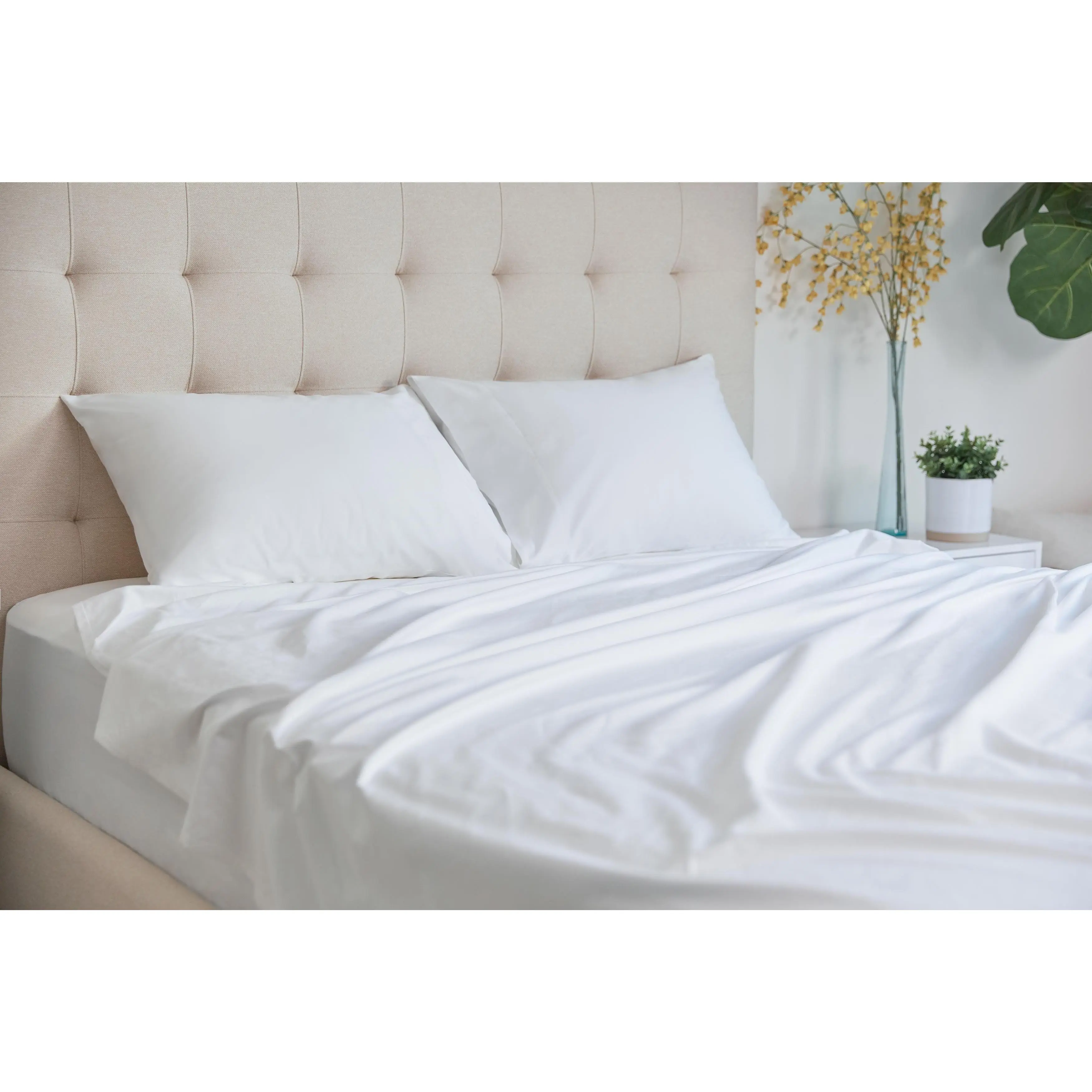 Organic Cotton Sheet Set