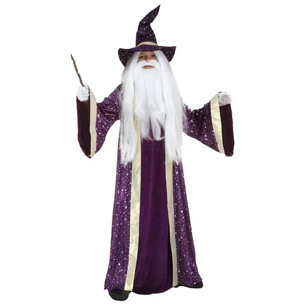Wizard Kids Costume