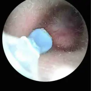 review image 5