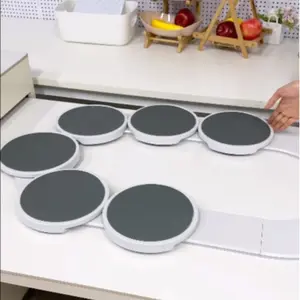 Portable Rotating Food Tray for Plates and Discs, Kitchenware Set for Dining Table Organization