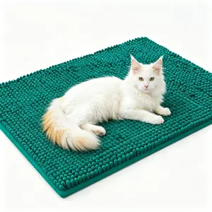 23.6in*35.4in Muddy Mat Pet Door Mat, Ultra Absorbent Chenille Floor Rug, Non Slip TPE Backing for Hardwood & Tile Floors, Washable Heavy Duty Rug for Entryway Bathroom Kitchen Patio, Traps Mud & Wet Paws, Indoor Outdoor Durable Home Deco