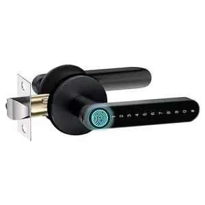 Fingerprint Door Lock with Handle Keyless Entry Door Lock with App Control/Key/IC Card for Bedroom Home Hotel Office Apartment