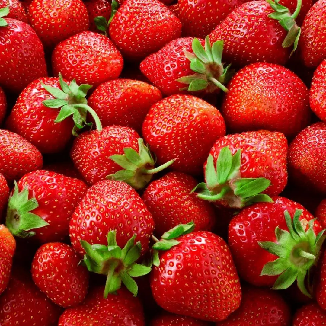 800+pcs Strawberry Bare Root Plants - Outdoor Garden Plant Ready for Grow Fruit, Multiple Packs for Gardeners