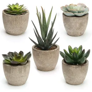 Artificial Succulent Plants Potted, Assorted Decorative Faux Succulent Potted Fake Cactus Cacti Plants with Pots, Set of 5
