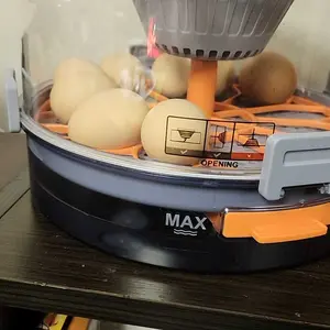 review image 6