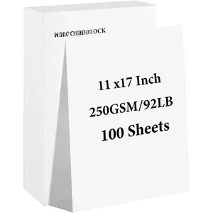 100 Sheets White Cardstock 11" x 17", 92lb/250gsm Card Stock, Thick Card Stock Paper, Heavy Cardstock Paper for Printer, Resume, Scrapbooks, Art, Crafts, Business Cards