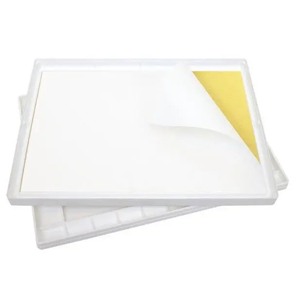 Masterson Sta-Wet Palette